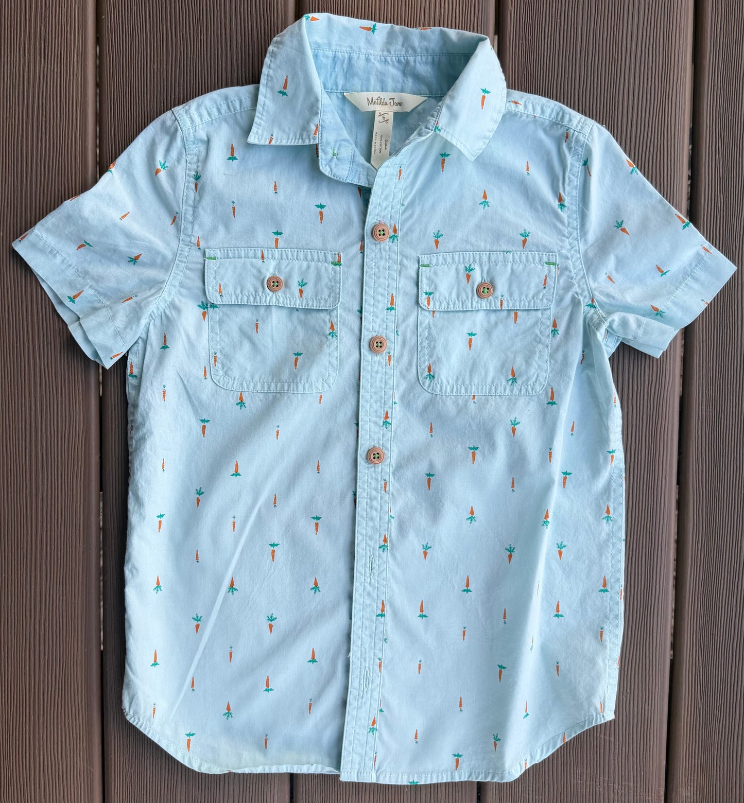#28 REDUCED Matilda Jane Boys Carrot Button Down Size 6