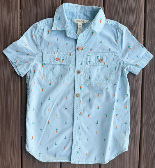 #28 REDUCED Matilda Jane Boys Carrot Button Down Size 6