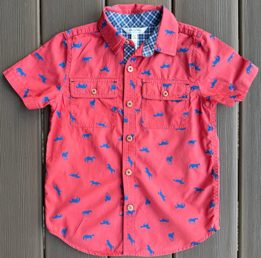 #28 REDUCED Matilda Jane Boys Horse Button Down Size 6