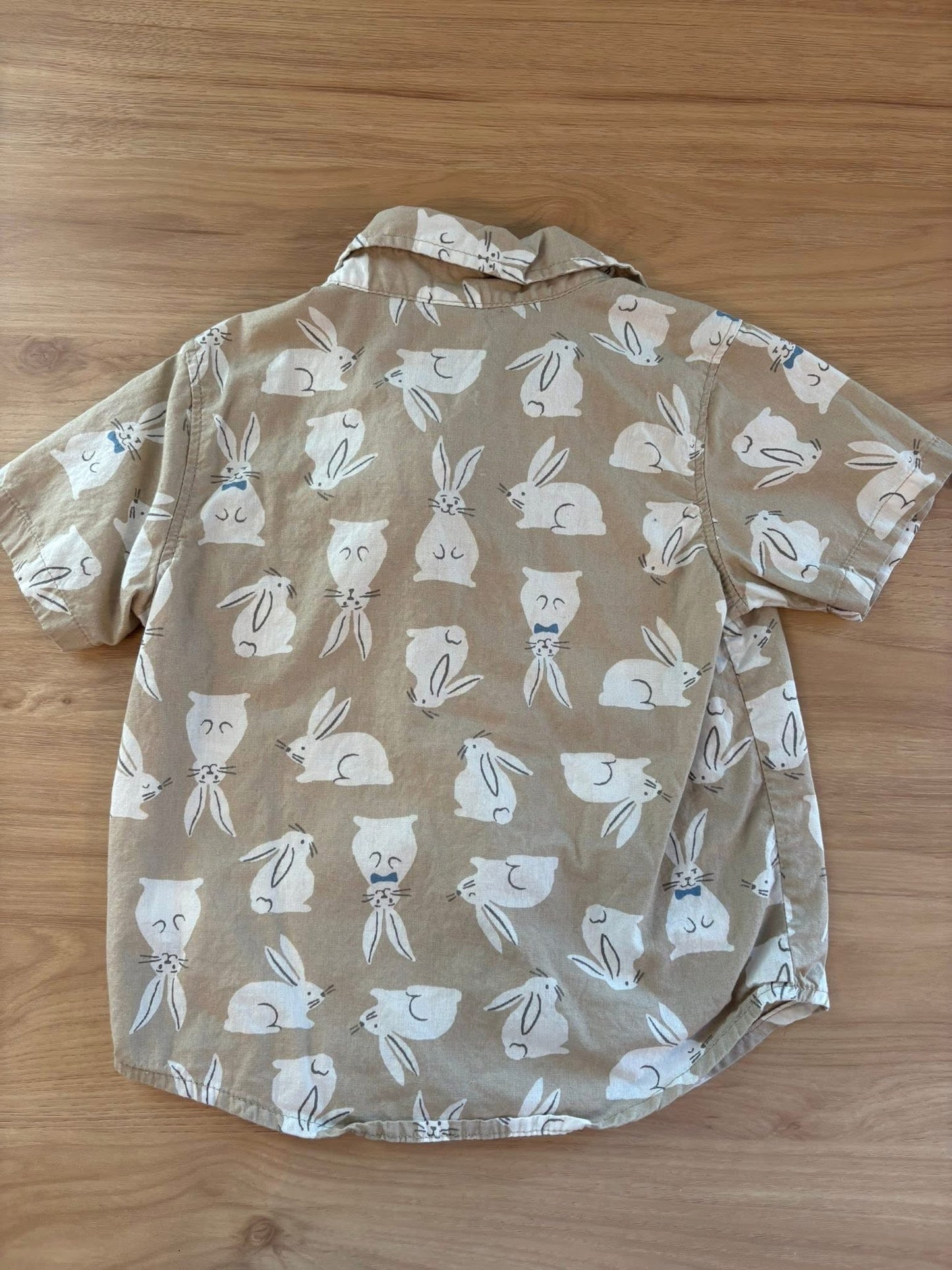 #33 2T Old Navy Easter Shirt