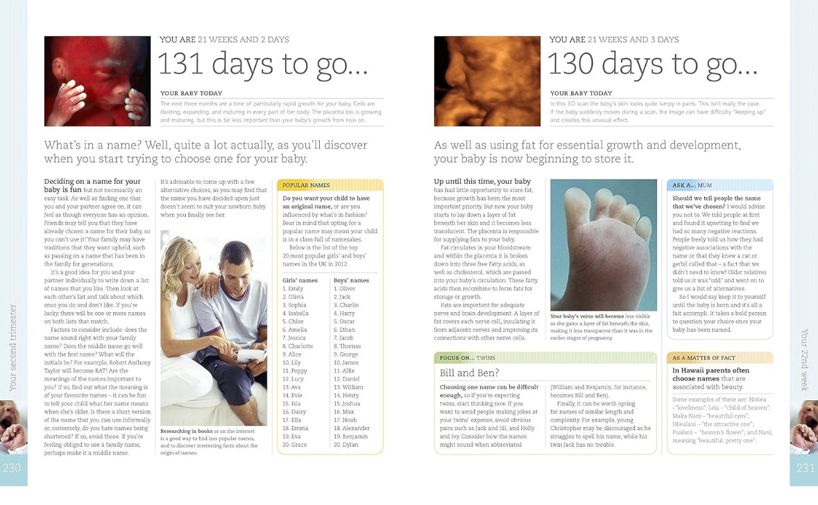 #70 Pregnancy Day By Day Book Excellent Condition EUC