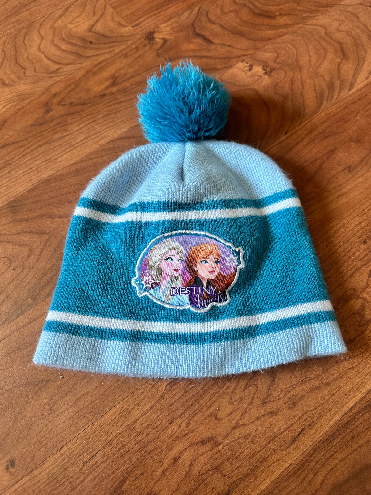 #48 Frozen Winter Hat