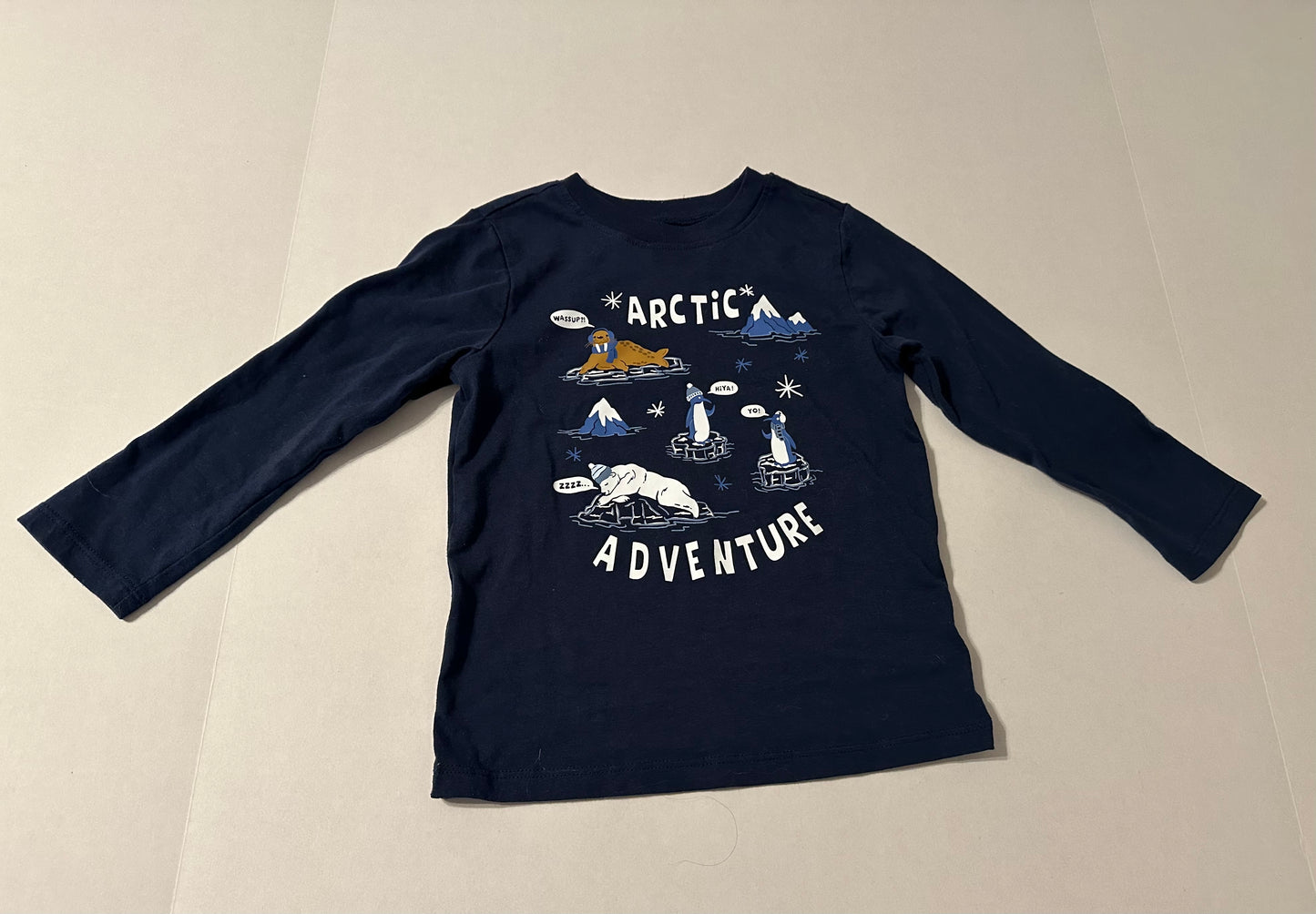 #160 Boys 4T Garanimals long sleeve t-shirt