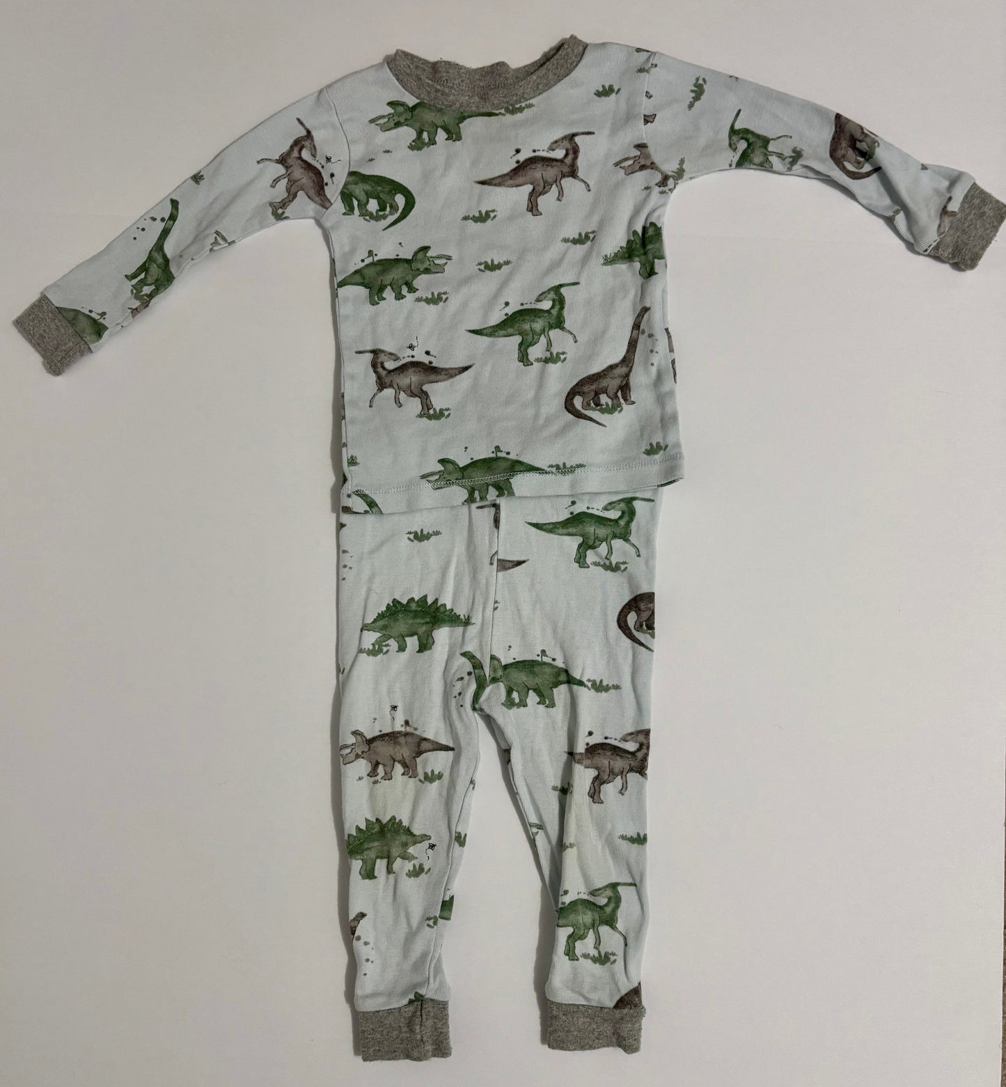 #132 - Burt's Bees Baby: Boy’s Two-Piece Dinosaur Pajama Set, 12M