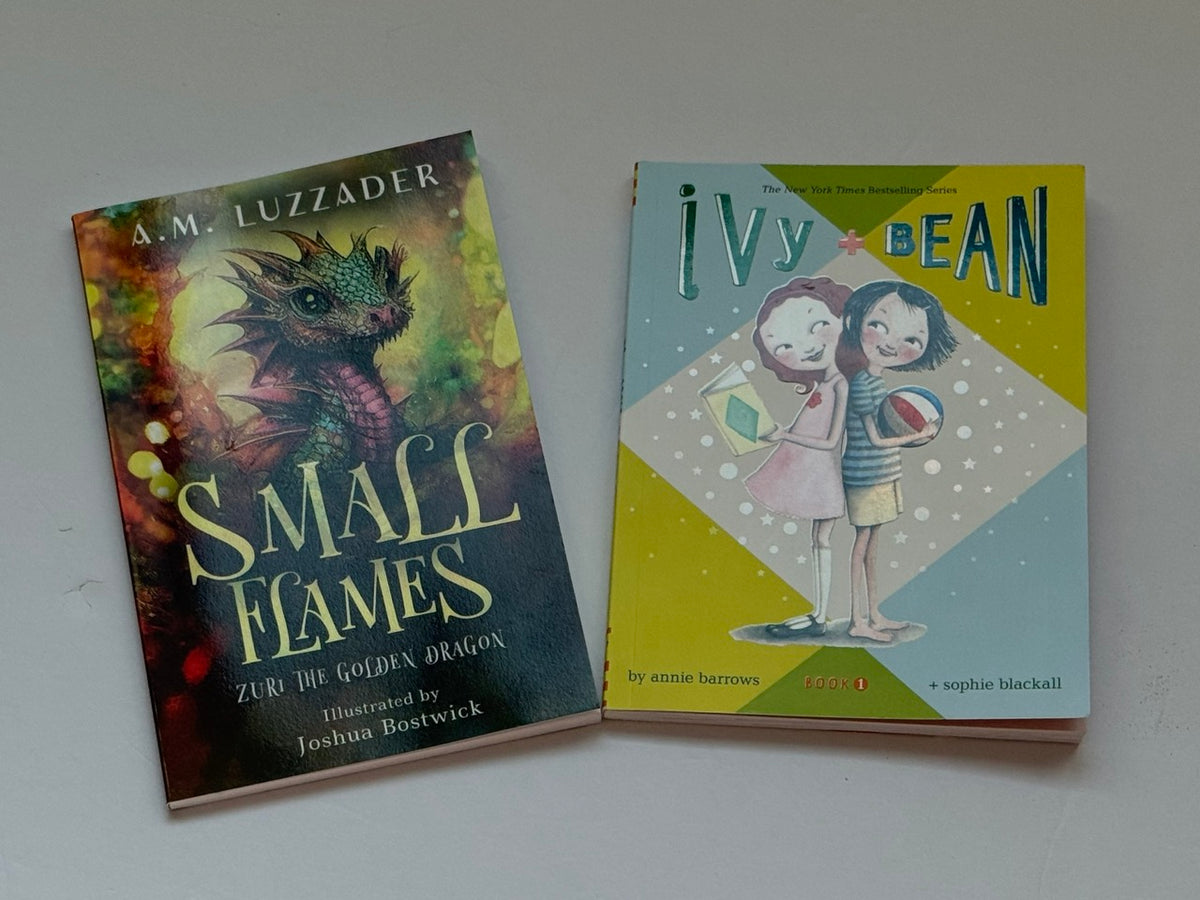 #82 Ivy & Bean (Book 1) and Small Flames Book Bundle