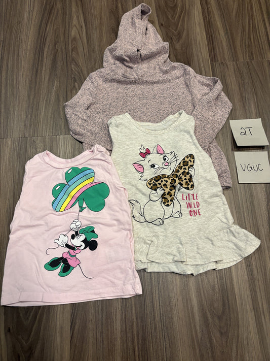 #138 - 2T VGUC (3) LS Shirts (minnie, cat, purple with hood)
