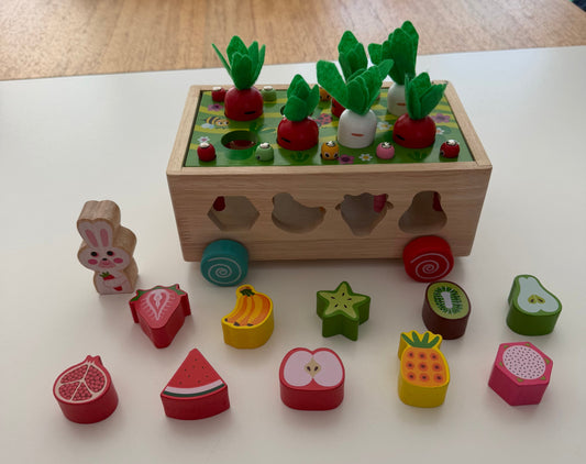#117, Toddler Montessori carrot wheels toy, VGUC