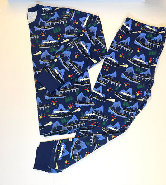 155 Hanna Andersson Men's Polar Express Holiday Pajamas EUC (family match available!)