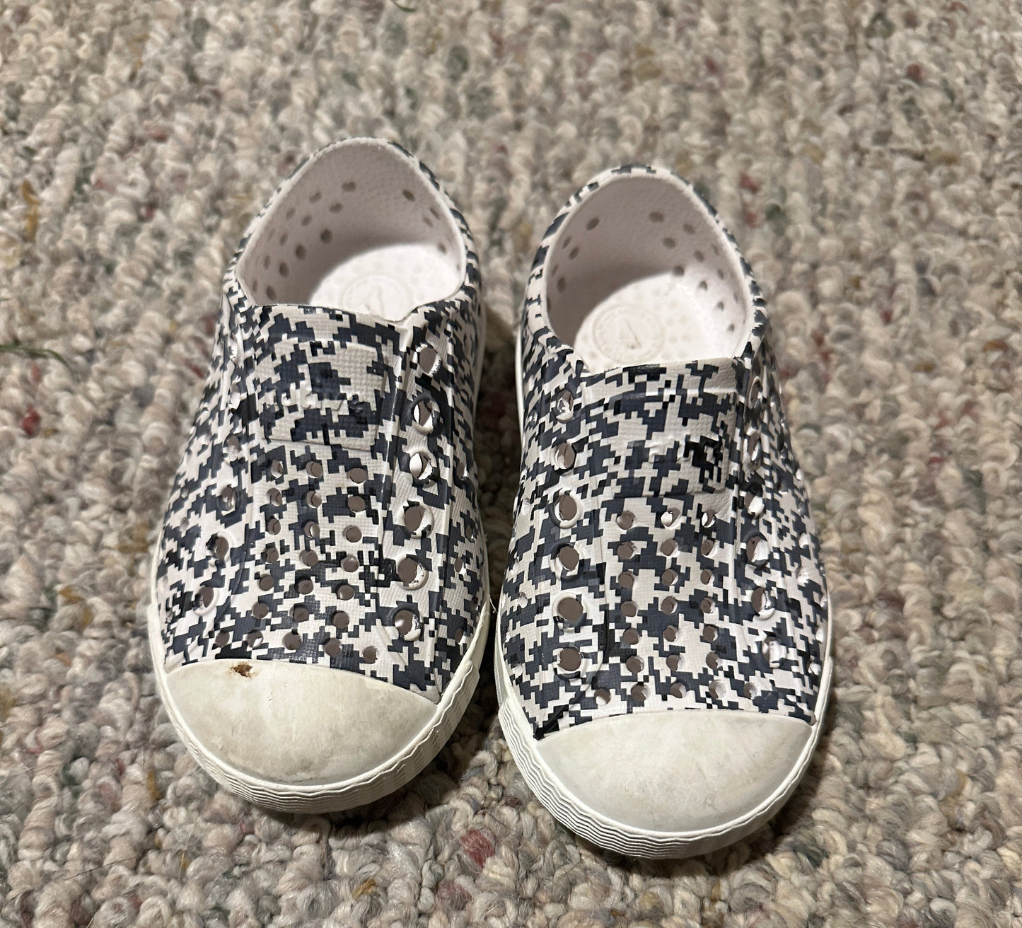 #218 sz5c natives