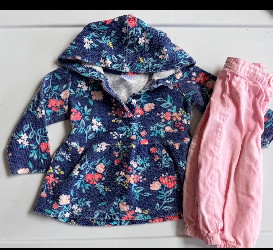 #35 girls 9 months Carters outfit