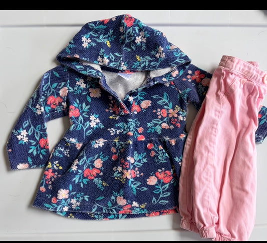 #35 girls 9 months Carters outfit