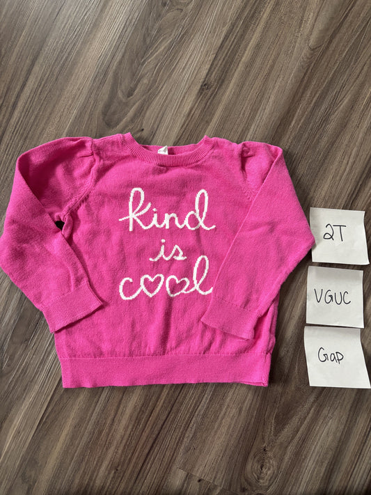 #138 - 2T Gap VGUC Kind is Cool Sweater