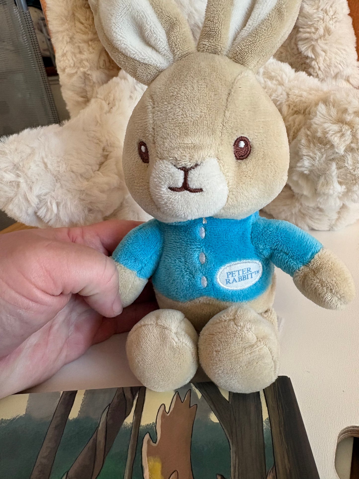 #35 Bunny Stuffies and Animal Books