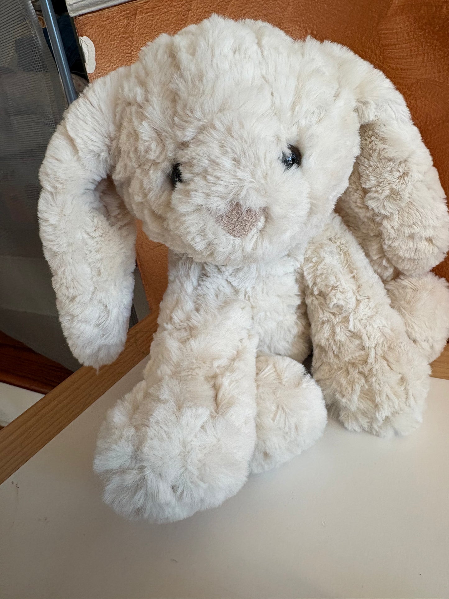 #35 Bunny Stuffies and Animal Books