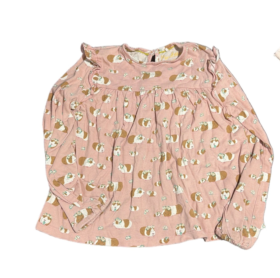 77 - Boden Guinea Pig sz 6 long sleeve