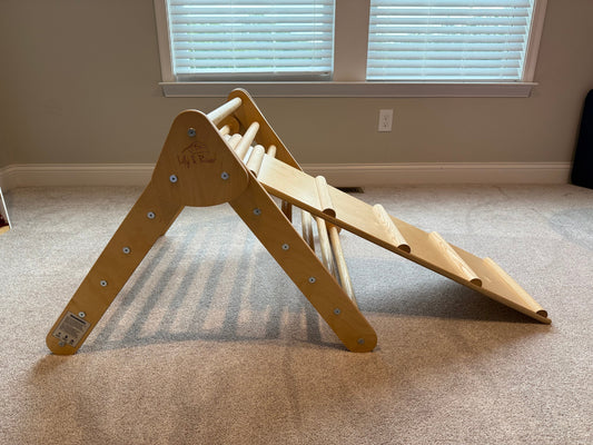 #173-reduced Lily & River little climber + slide
