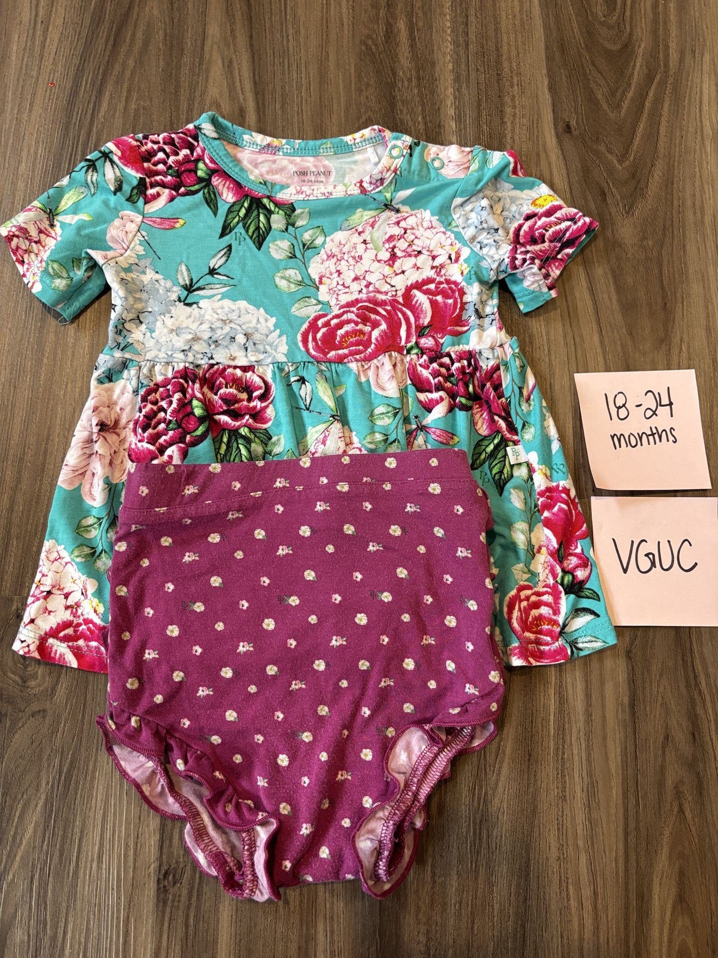 #77 - 18-24 Mo - VGUC Posh Peanut - Eloise Outfit