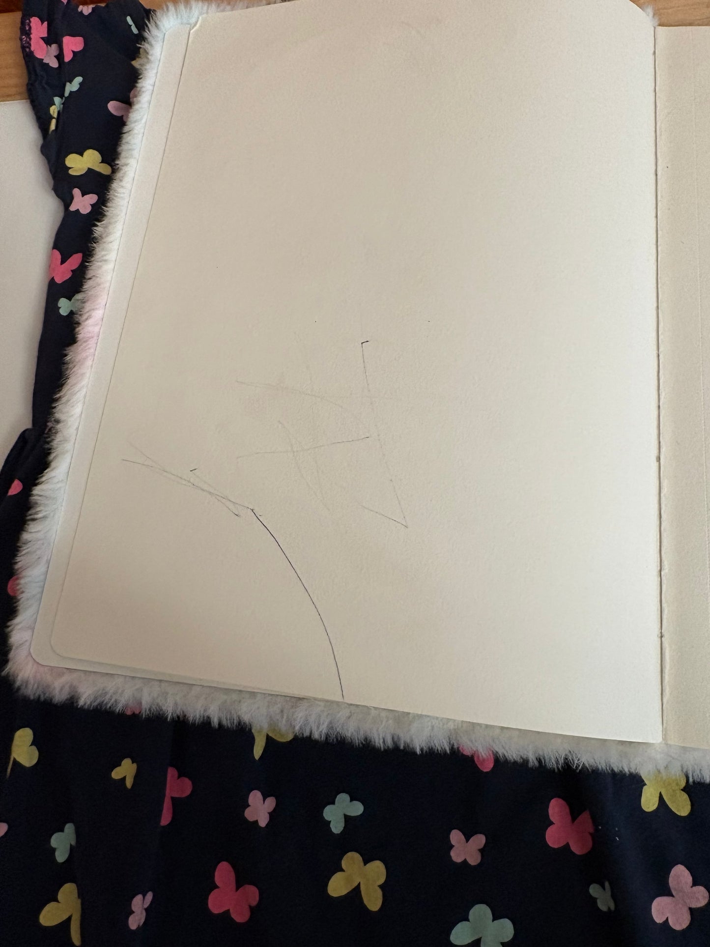 #35 REDUCED H&M Butterfly Dress and Fuzzy Caturcorn Notebook