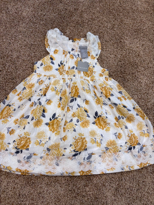 #47, girls 4T tahari dress, pretty fall pictures!