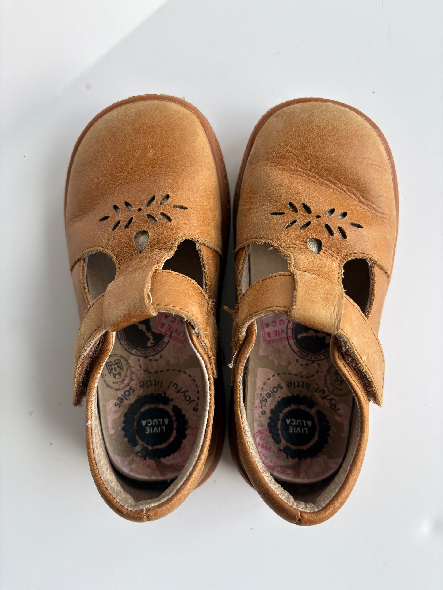 Seller #105 - Size 9c Girls Brown Livie and Luca Mary Janes GUC