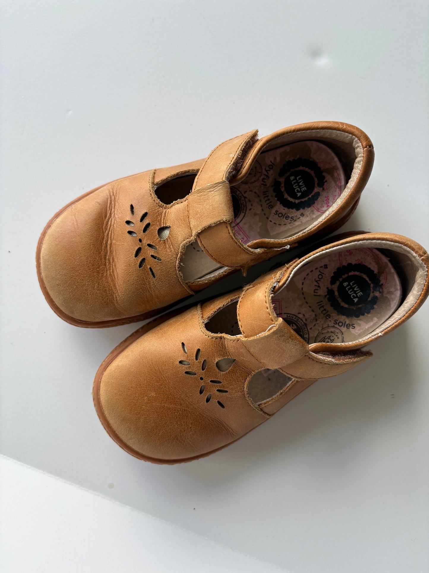 Seller #105 - Size 9c Girls Brown Livie and Luca Mary Janes GUC