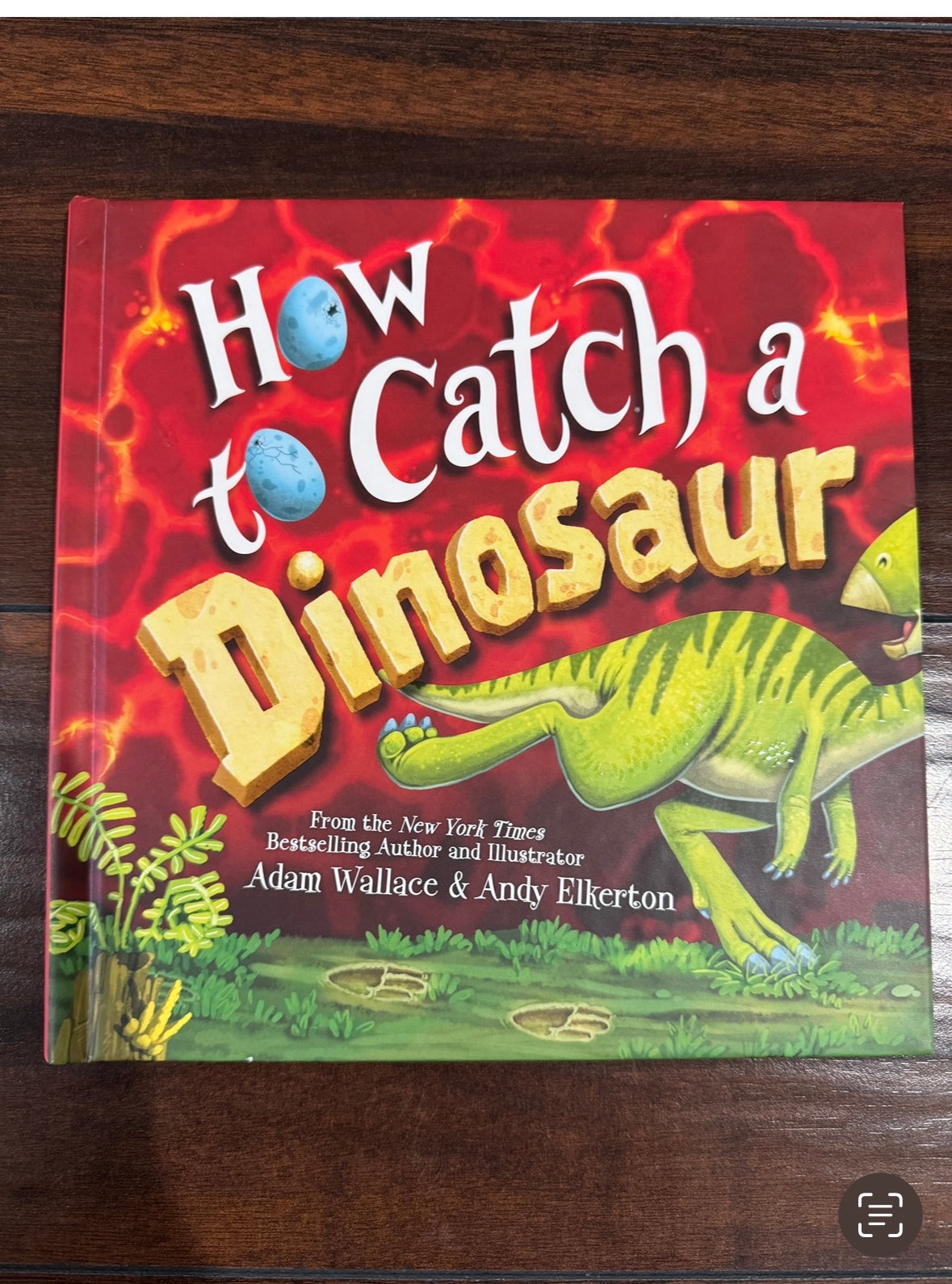 REDUCED PRICE #34 how to catch a dinosaur book