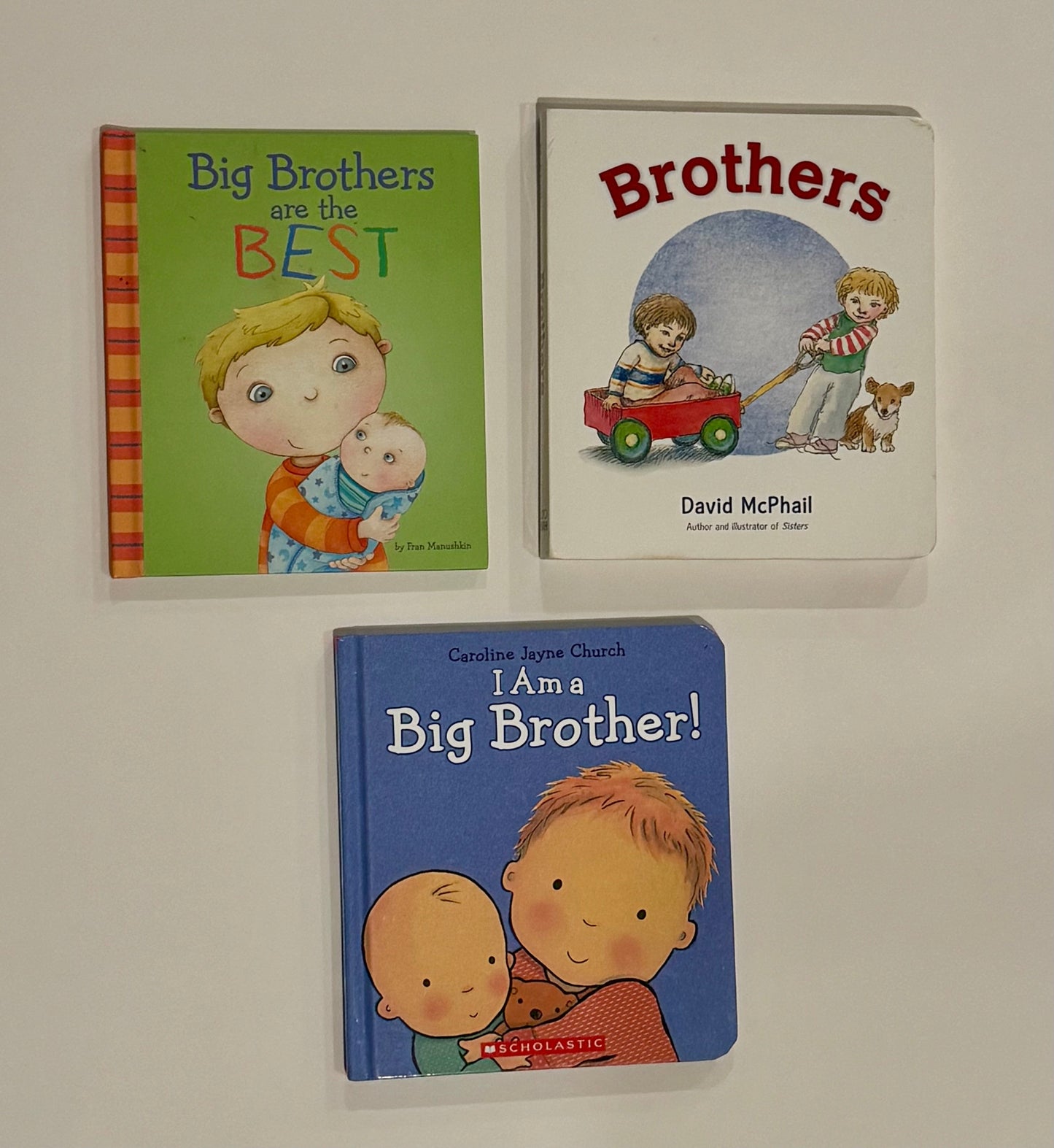 #187 Big Brother Book Bundle