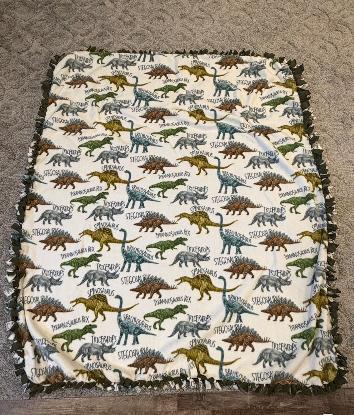 16 - Dinosaur Fleece Blanket
