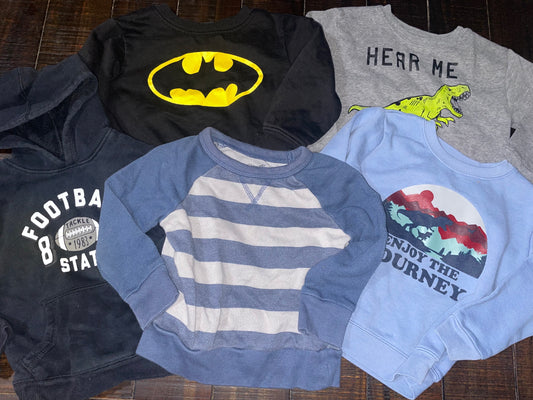 Seller #121 Boys 3t sweatshirt bundle (5)