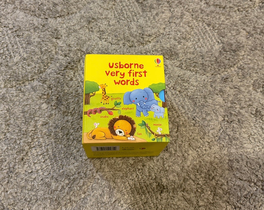 16 - Usborne Very First Words Set