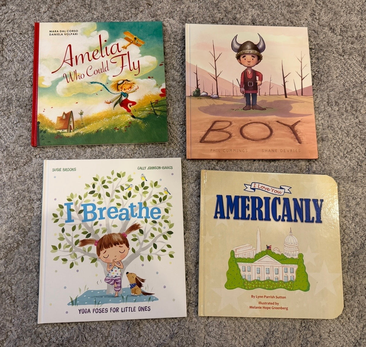 16 - Usborne Picture Book Set