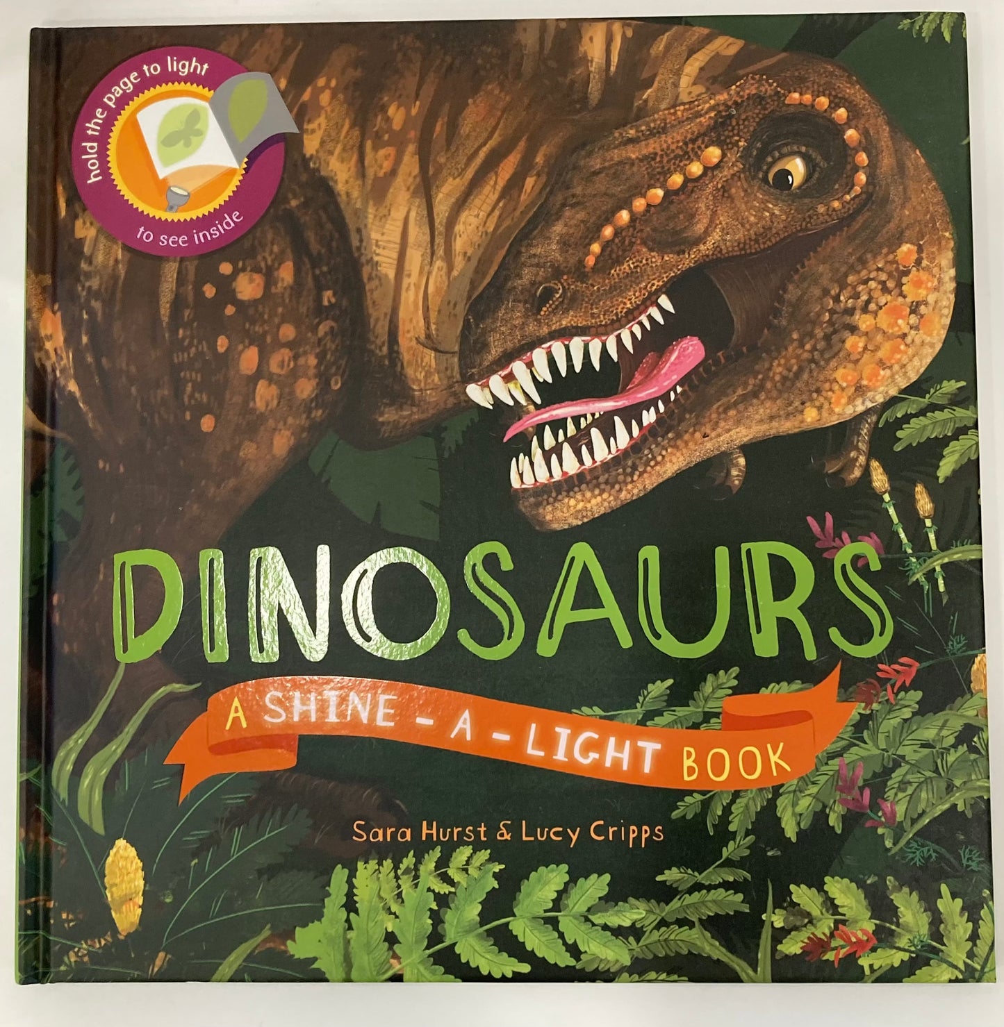 #99-Usborne Dinosaurs A Shine-A-Light Book