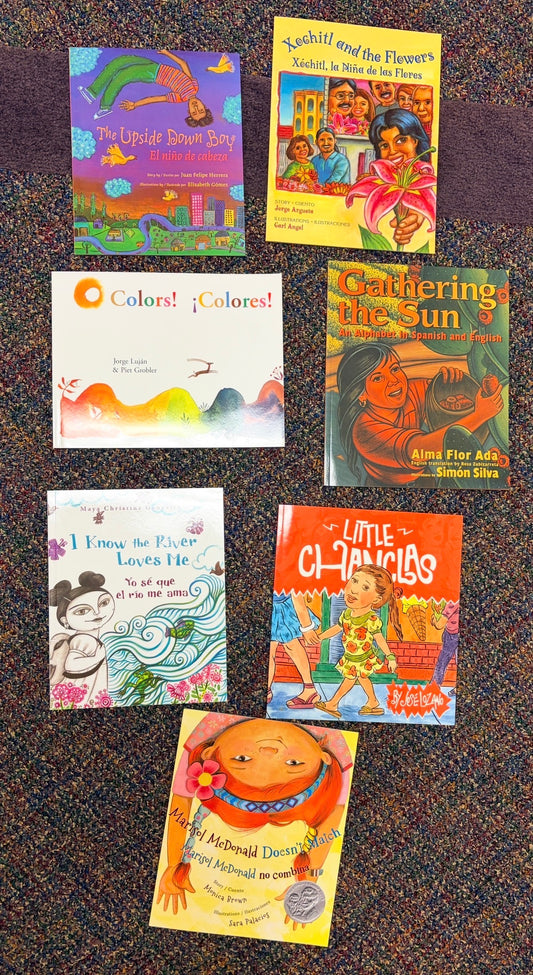 #35 bundle of Spanish/English books like new