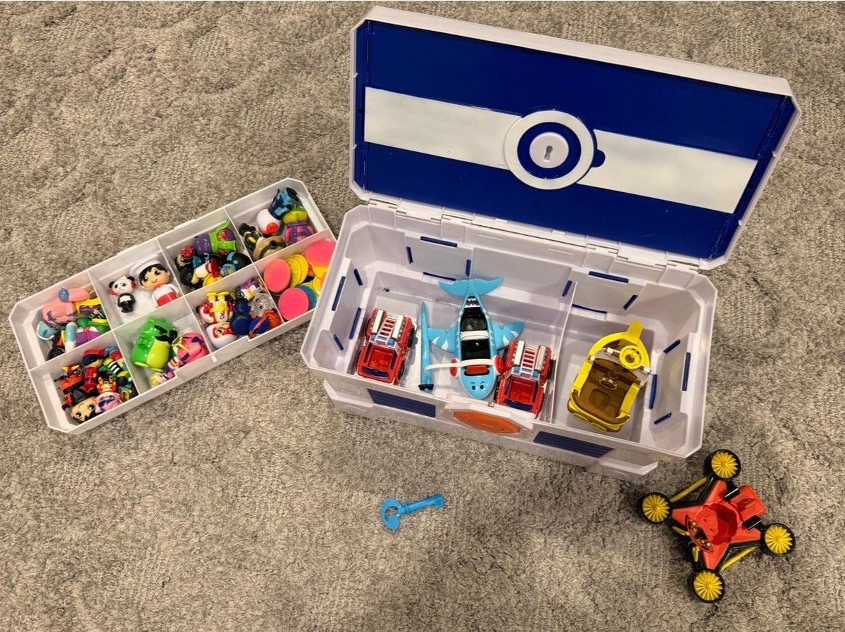 16 - LARGE Ryan's World Lot