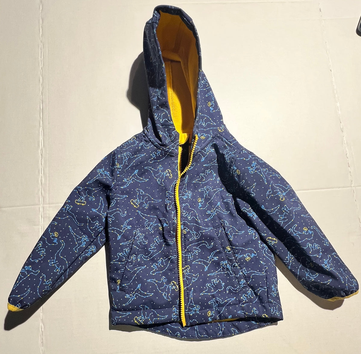 #95 Boy s Fleece Lined Dino Raincoat 2T