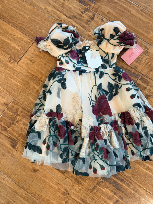#99 girls Ivy city rose tulle dress size 2