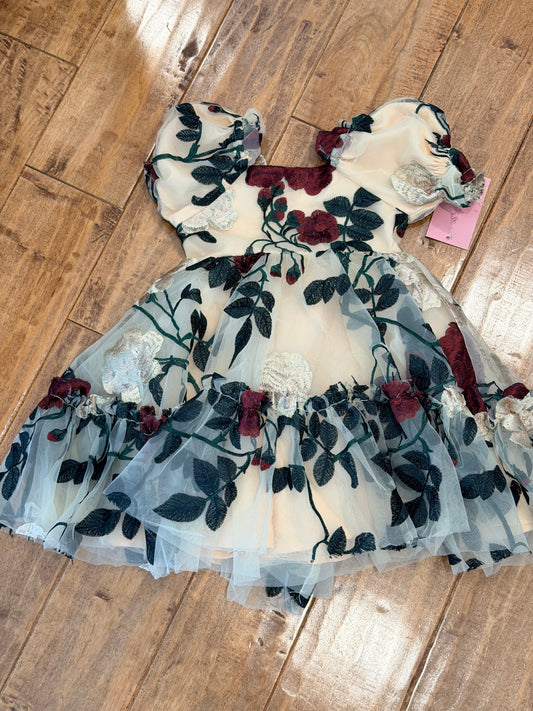 #99 Girls Ivy City tulle rose dress size 12-18 months NWT