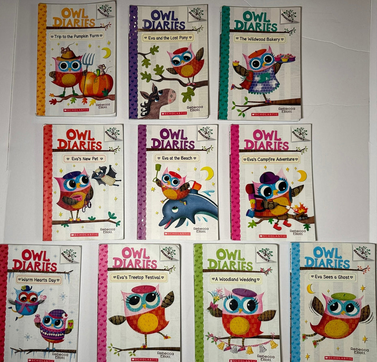 Seller 156_Owl Diaries Series set of 10_Used Condition