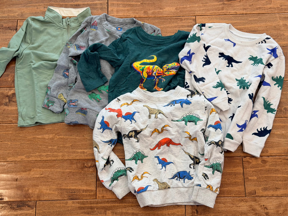 #99 boys dinosaur bundle sweatshirts and long sleeve shirts size 5