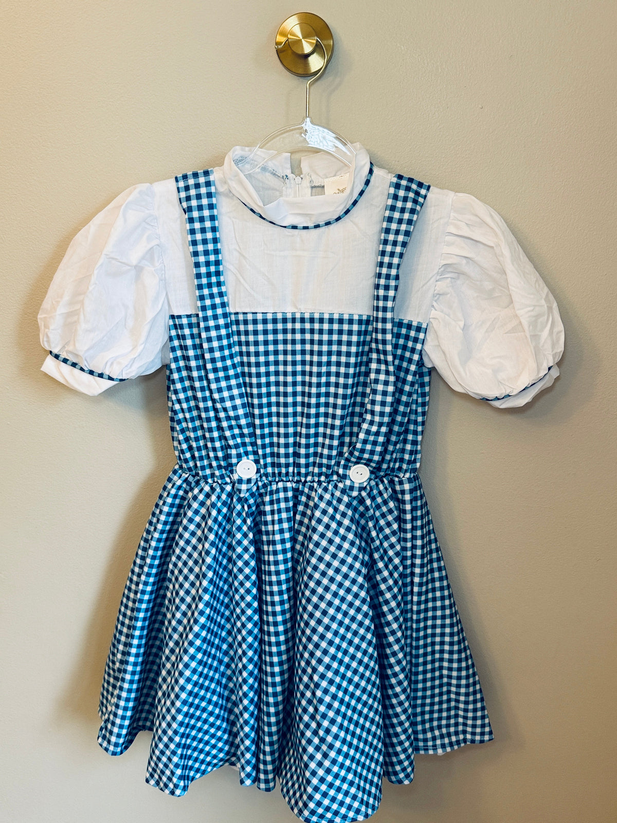 Seller 156_Rubies Dortothy Costume (NWOT) and Toto Girls M 8-10