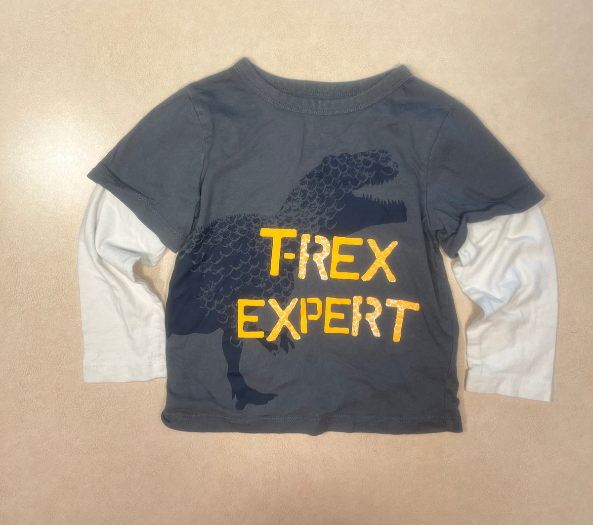#200 T-Rex Expert T-Shirt Boys 2T
