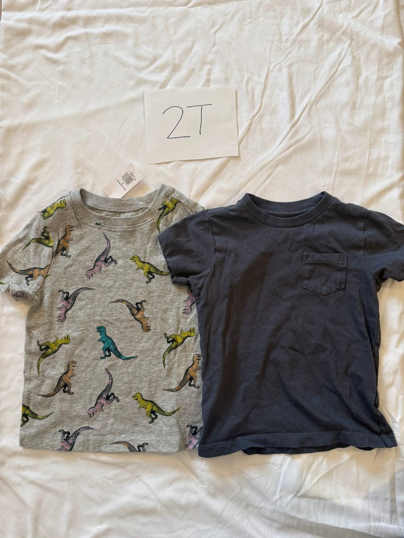 Seller #67 Boys 2T Old Navy/Crew Cuts Factory T-Shirt Bundle