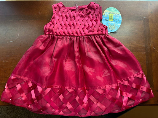 #88 NWT Cinderall dress 2T