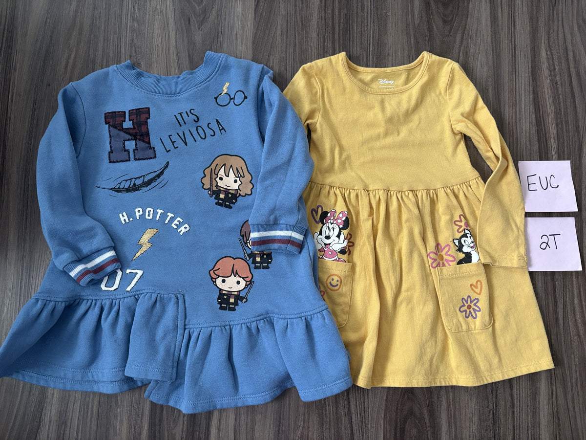 #138 - 2T EUC Dresses (2) (Harry Potter + Minnie)