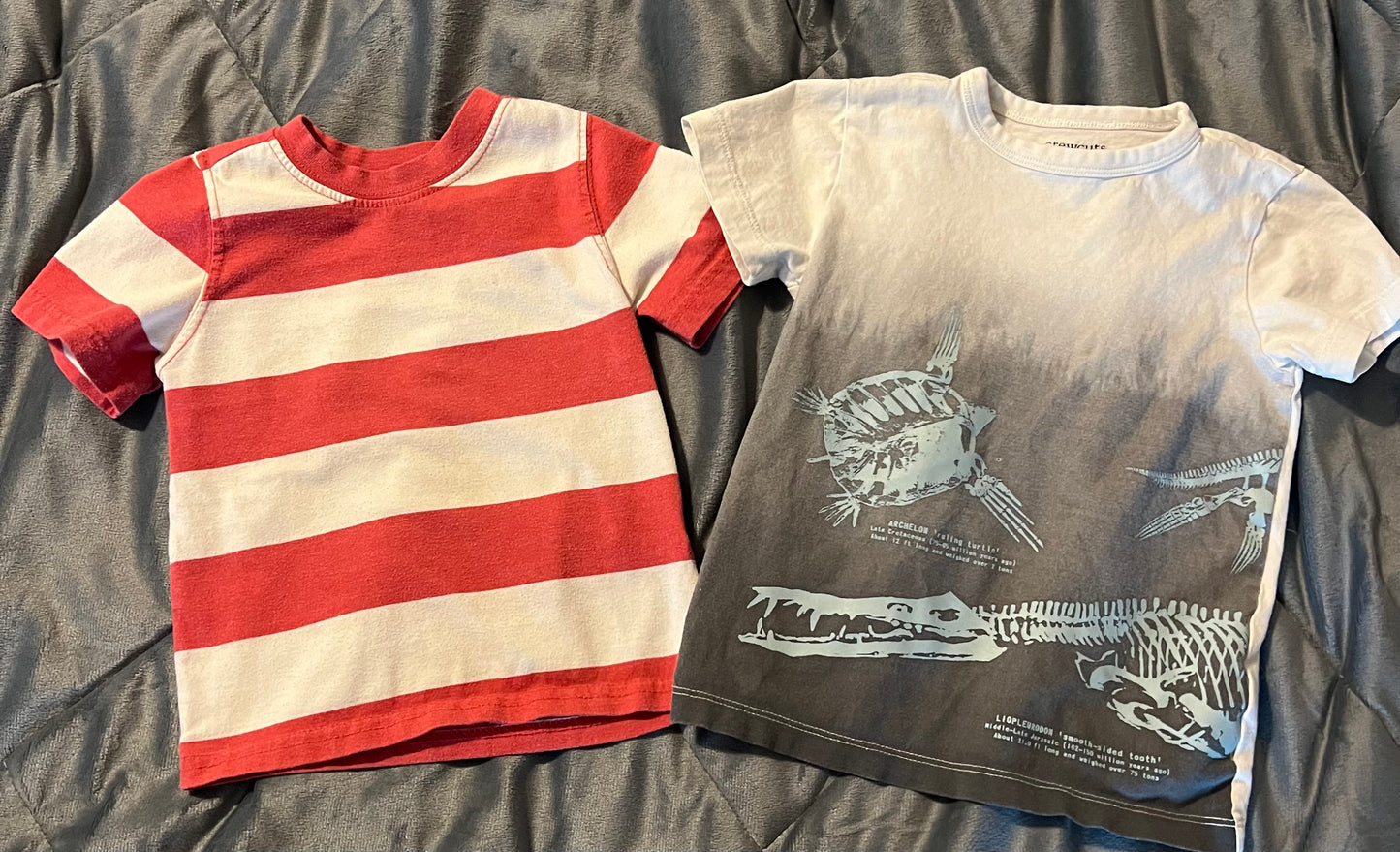 **REDUCED** Boys T-Shirts Size 2t/3t
