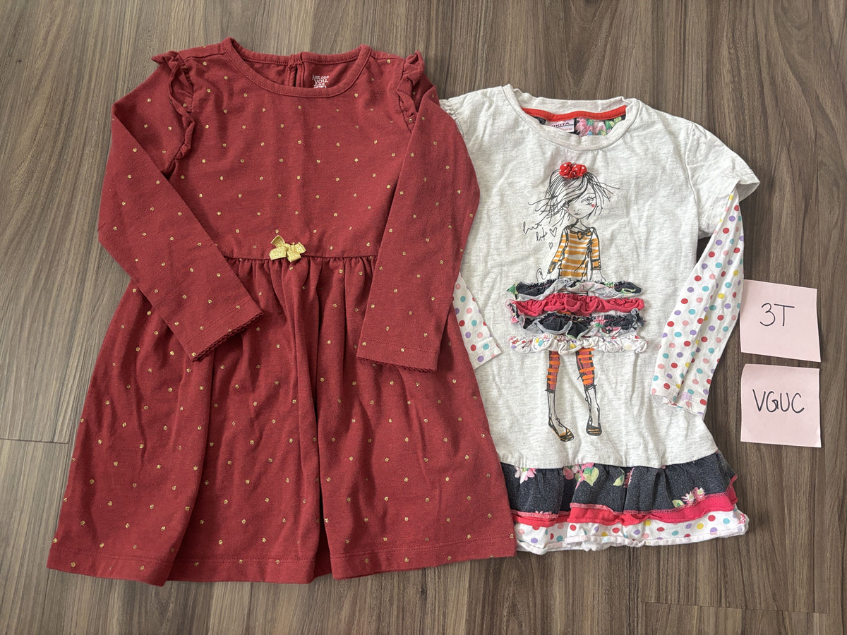 #138 - 3T VGUC Dresses (Rust polka dot + Girl Ruffle)