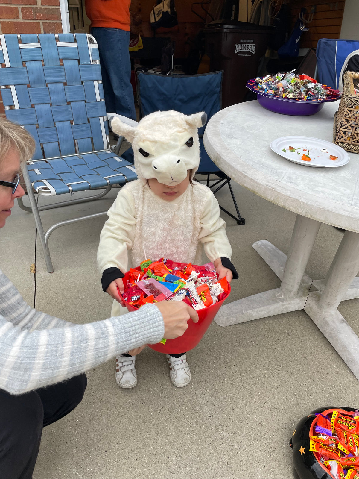#48 Llama Costume 2T