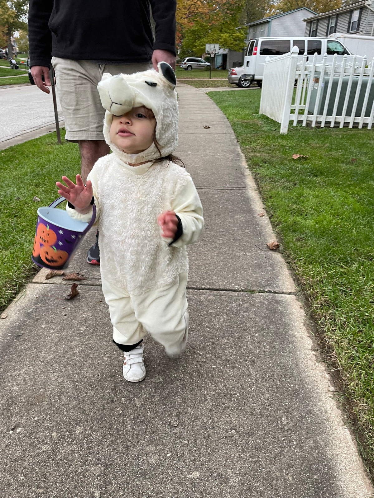 #48 Llama Costume 2T