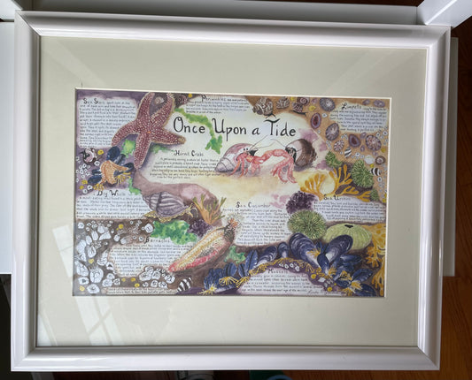 #42 "Once Upon A Tide" Tidepool Creatures Watercolor Framed Print by Linda Yarmoush