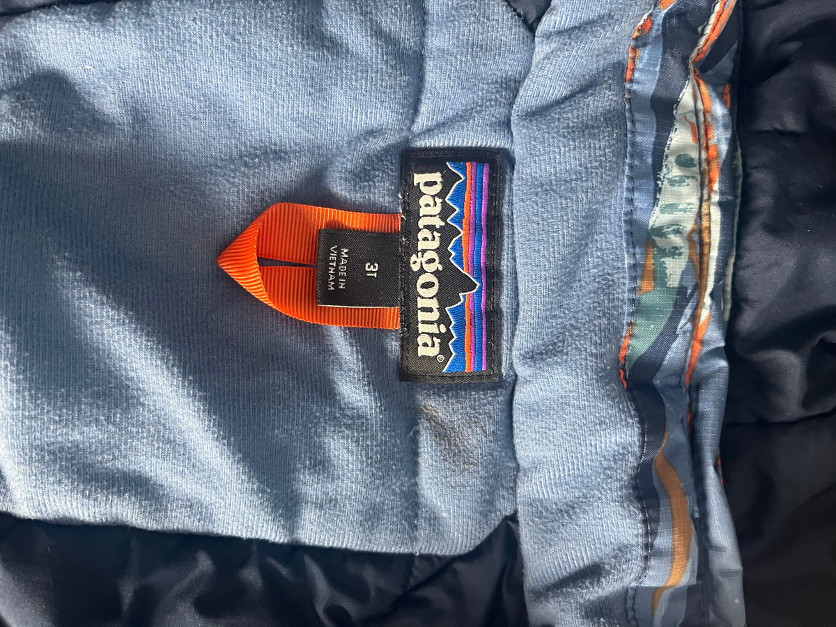 Seller# 14 Boys 3T Patagonia Winter Coat with Detachable Hood EUC